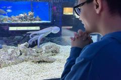 Domov Na Dlážděnce